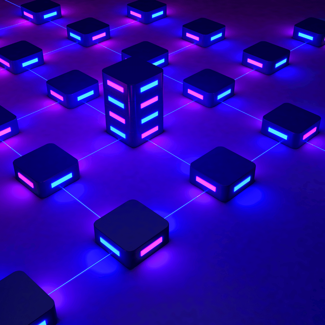 Web & App Development